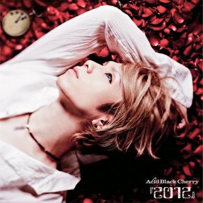 Download track Fallin' Angel Acid Black Cherry