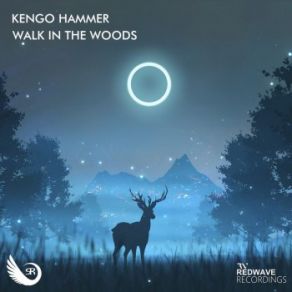 Download track Walk In The Woods (Original Mix) Kengo Hammer