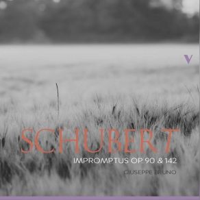 Download track 05.4 Impromptus, Op. 142, D. 935 No. 1 In F Minor Franz Schubert