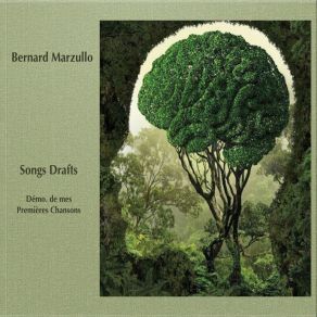 Download track Carnet Rose (Remastered) Bernard Marzullo