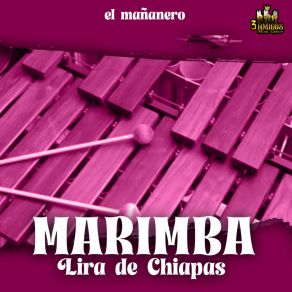 Download track El Bananero Marimba Lira De ChiapasMarimba