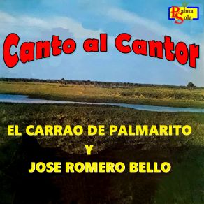 Download track Mosaico De Llano Adentro Jose Romero Bello