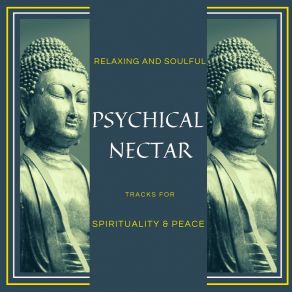 Download track Silver Water Peaceful Mantra
