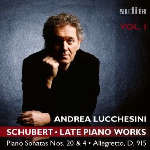 Download track Allegretto In C Minor, D. 915 Andrea Lucchesini