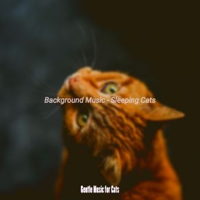 Download track Music - Cute Gentle Music For Cats