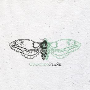 Download track Cuántico Plane