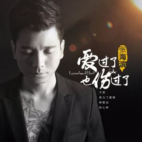 Download track 爱过了也伤过了 张海滨