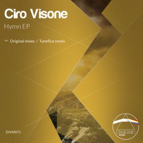 Download track Geyser (Original Mix) Ciro Visone