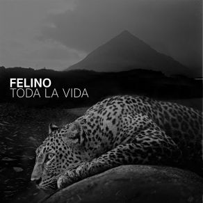 Download track Comandante Felino