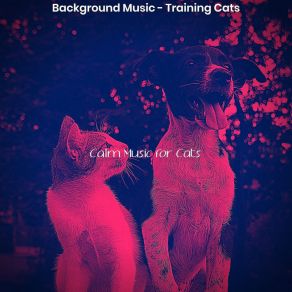 Download track Sort (Cats) Calm Music For CatsThe Cats