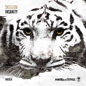 Download track Insanity (Radio Edit) Skellism