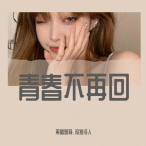 Download track 烟火里的尘埃（DJ版） 黑暗萝莉