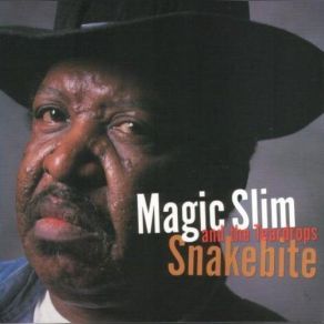 Download track Whats Wrong Magic Slim, The Teardrops