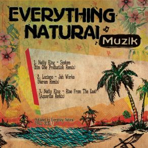 Download track Rise From The East (Aquarius Remix) Natty King, Luciano