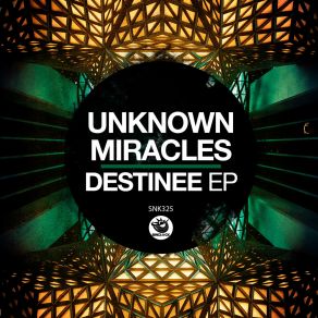 Download track Destinee Unknown Miracles