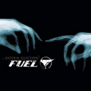 Download track Days With You Fuel