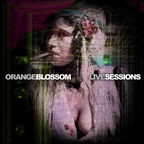 Download track Ya Sîdi (Blossom Live Sessions) Orange Blossom