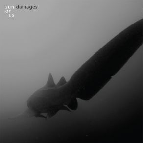 Download track Damages Sun On Us