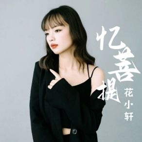 Download track 几多相思无处说 花小轩