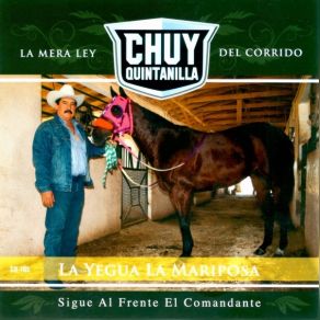 Download track El Venado Y Su Canario Chuy Quintanilla