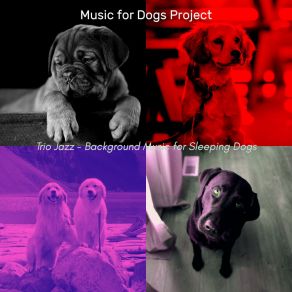 Download track Number One Moods For Separation Anxiety Music For Dogs Project