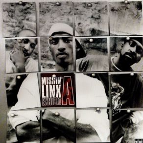 Download track What It Is Missin' Linx