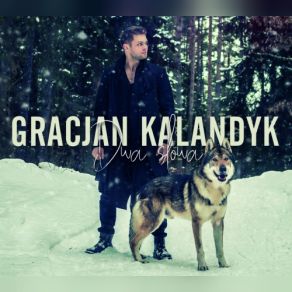 Download track Jak Nikt Gracjan Kalandyk