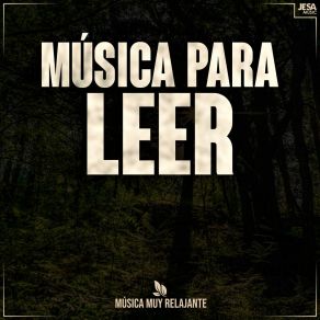 Download track Mi Duplicado Música Muy Relajante