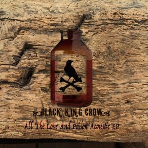 Download track New Mexico (Acoustic) Black King Crow