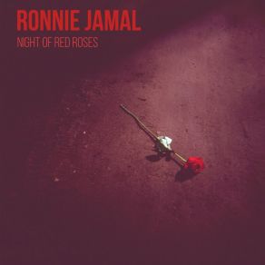 Download track When The Sun Sets On The Horizon Ronnie Jamal