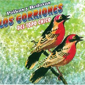 Download track Café Colon Los Gorriones Del Topo Chico