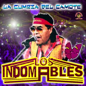 Download track Todo Me Gusta De Ti Los Indomables