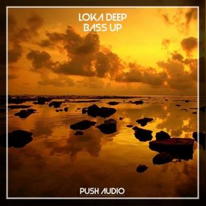 Download track Night In Miami Loka Deep