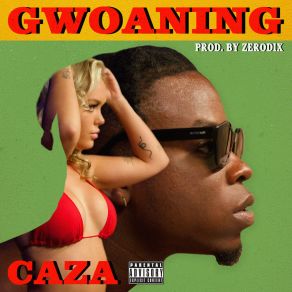 Download track Gwoaning Caza