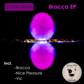 Download track Nice Pleasure (Original Mix) Danja Uosh