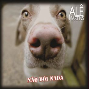 Download track Não Dói Nada Ale Martins