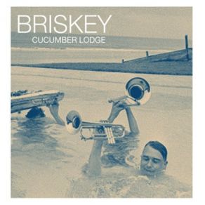 Download track Lovelier Without Make - Up Briskey