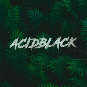 Download track Kai And Gerda Acidblack