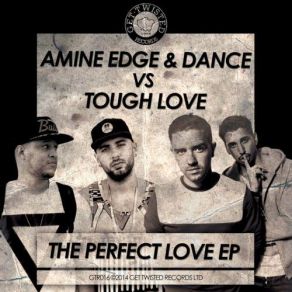 Download track Heels In A House Rave (Original Mix) Tough Love, Amine Edge DANCEDance!, Amine Edge, Nastaly