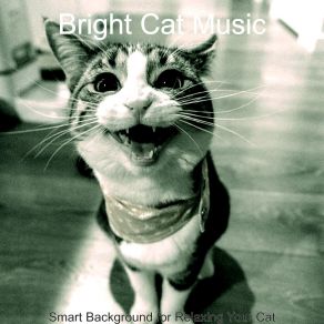 Download track Piano Jazz Soundtrack For Kittens Bright Cat Music