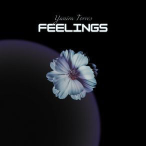 Download track Feelings (Radio Edit) Yanira Torres