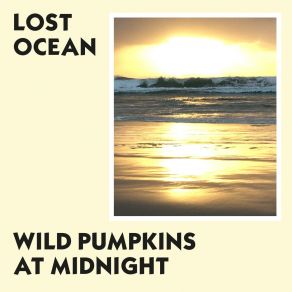 Download track Love In Benares (Acoustic) Wild Pumpkins At Midnight