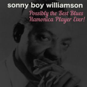 Download track You Give An Account Sonny Boy Wiiliamson