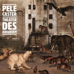 Download track 14 Anrufe In Abwesenheit Pele Caster