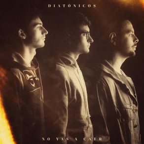 Download track Algún Día Diatónicos