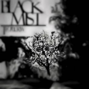 Download track Black Mist The Grey Crow