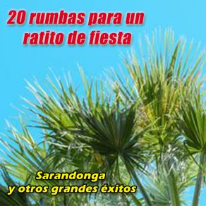 Download track Hueso Na Ma 20 RUMBAS PARA UN RATITO DE FIESTA