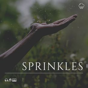 Download track Gentle Raindrops, Pt. 11 Rain Sounds