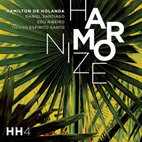 Download track Canto Da Siriema Hamilton De Holanda