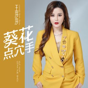 Download track 葵花点穴手 (伴奏) 王莎莎